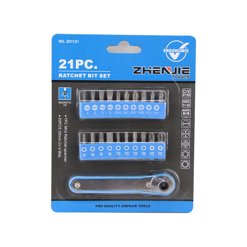Set de biți cu clichet Phillips Pozidriv Hex Torx 21 buc