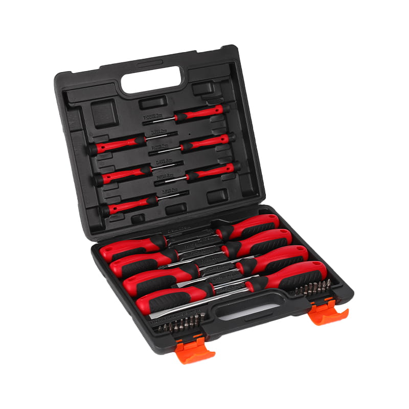 Set de surubelnite de precizie 31 buc