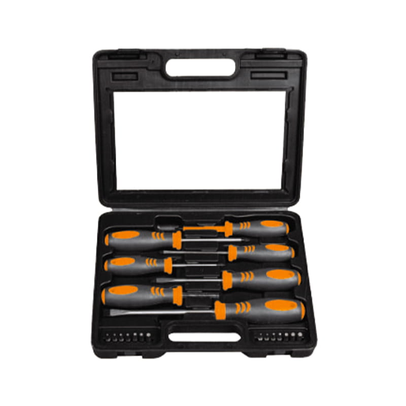 Set de șurubelnițe CRV BMC Packaging 21 buc